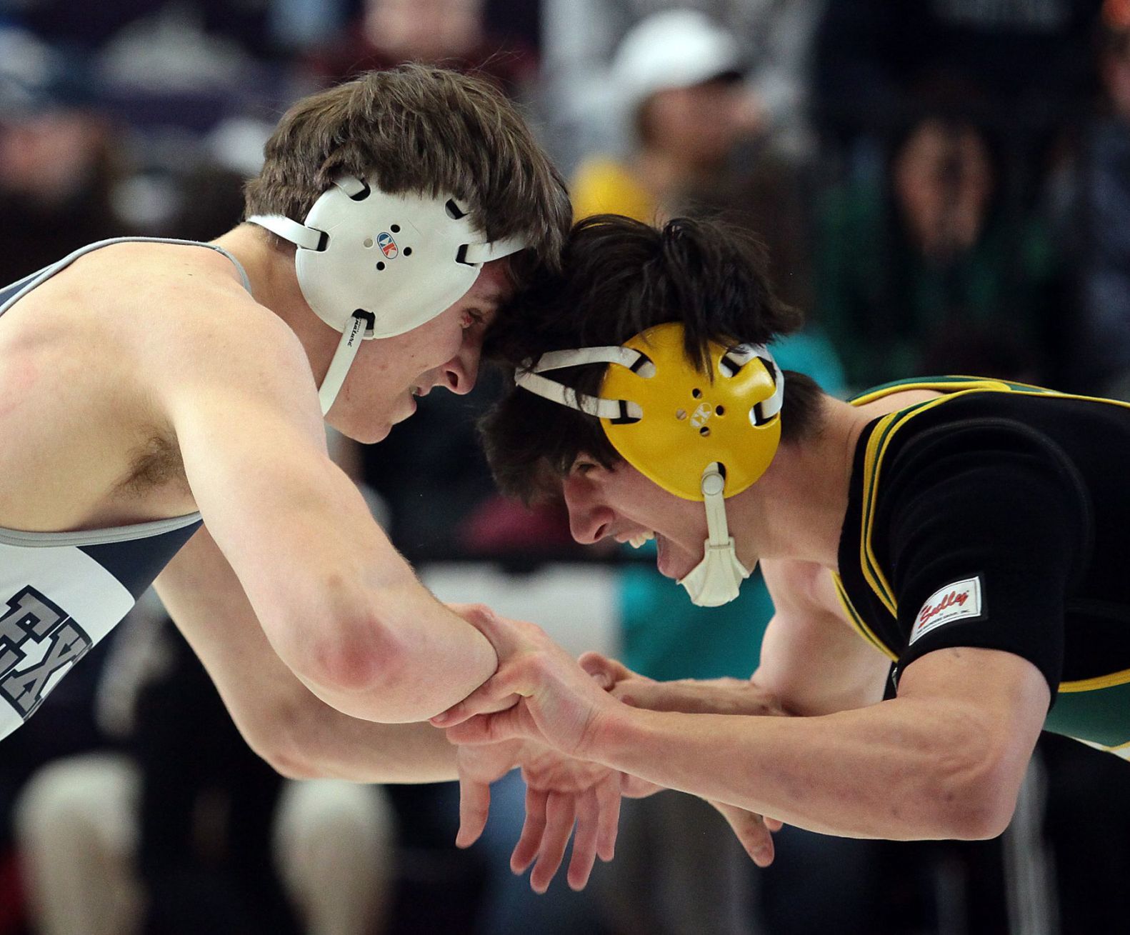 Wrestling Meet of Champions